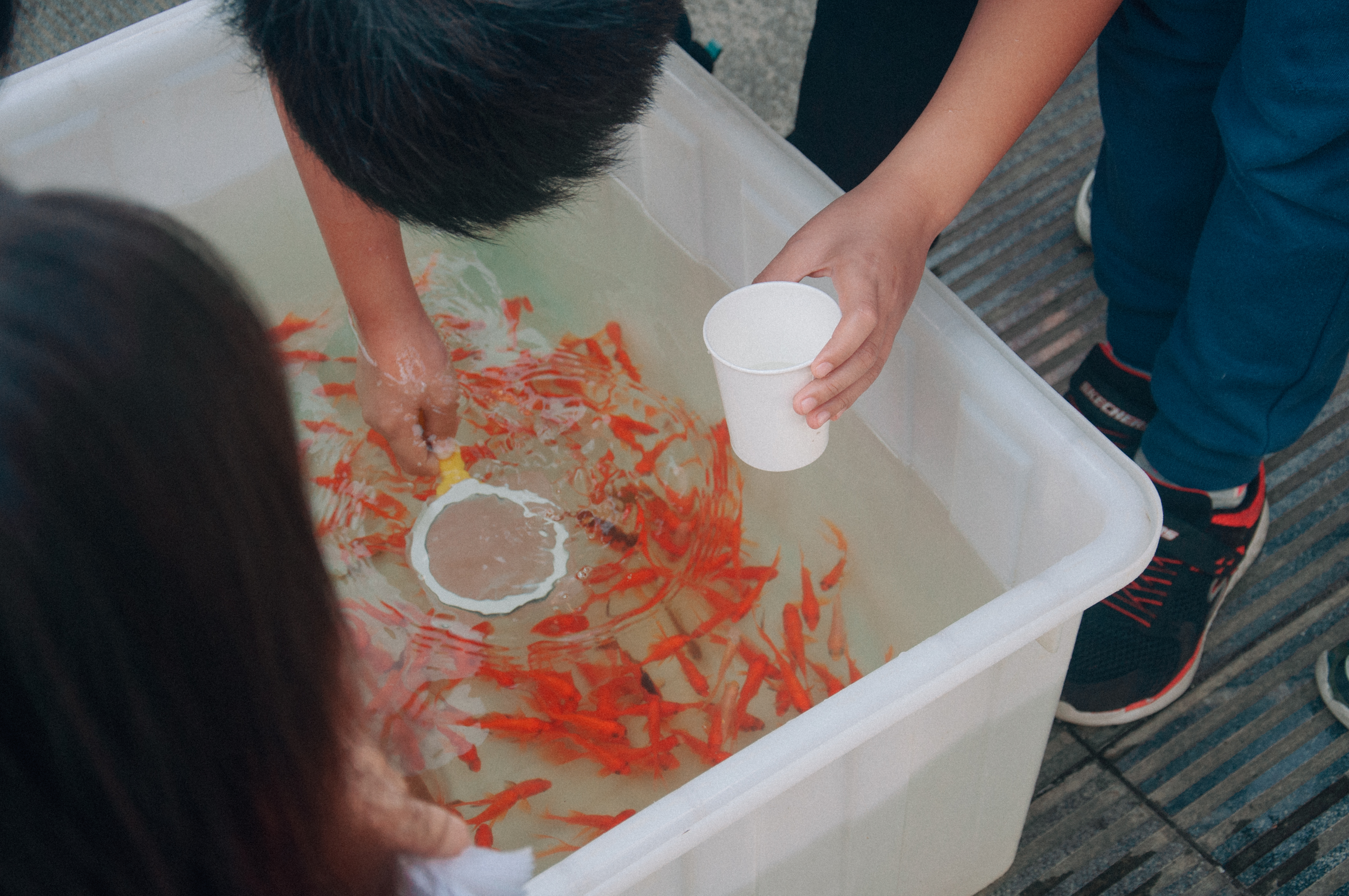 员工正在进行纸网捞鱼(王毓麟 摄)